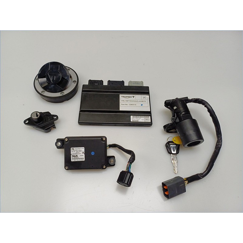 Injection Control Unit for TRIUMPH Street Triple 660 20 Original used spare parts ACCIMOTO