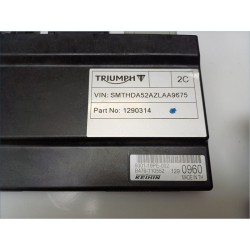 Injection Control Unit for TRIUMPH Street Triple 660 20 Original used spare parts ACCIMOTO