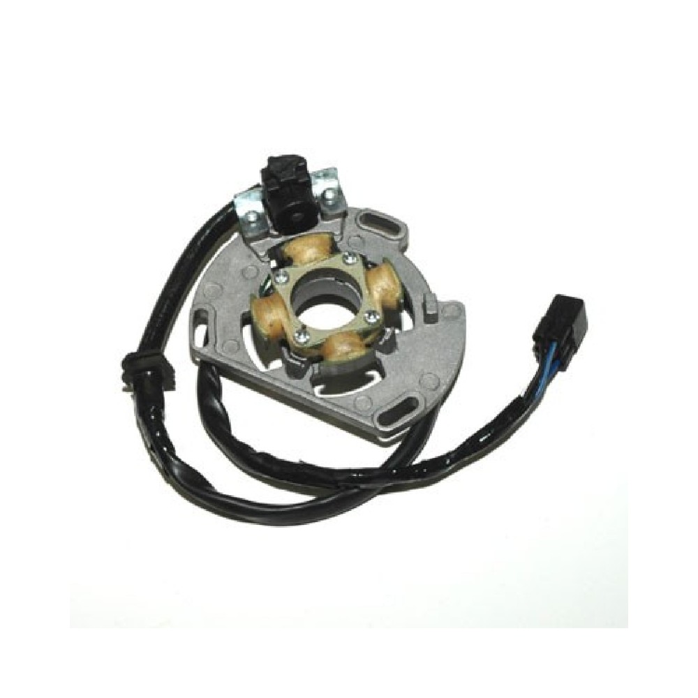 Statore Ktm 65/85/105SX 03-11 per KTM 65 SX 03-07 e altri modelli Statori ELECTROSPORT