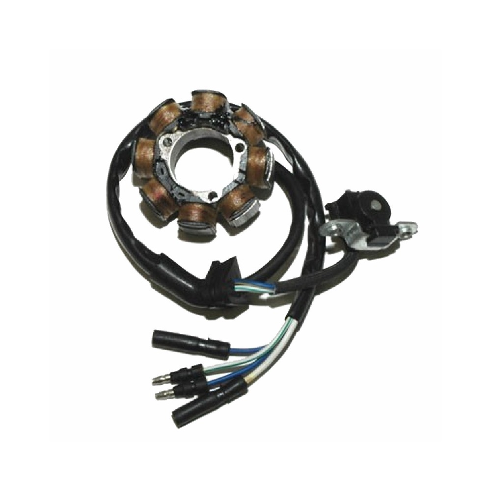 Statore Honda Crf 450R 02-04 per HONDA CRF 450R 02-04 Statori ELECTROSPORT