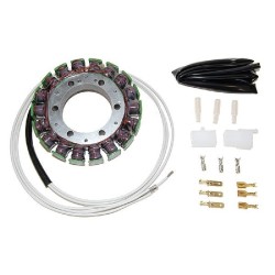 Stator Kawasaki Zx-9R NINJA98-99 for KAWASAKI ZX-9R Ninja 98-99 and other model Stators ELECTROSPORT