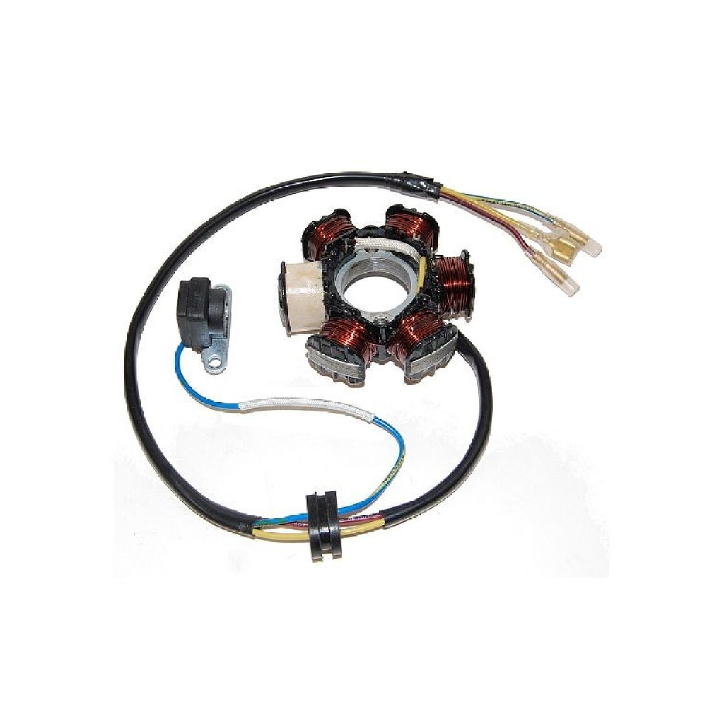 Statore Honda Xr/Crf 80/100 per HONDA CRF80/100F 04-09 e altri modelli Statori ELECTROSPORT