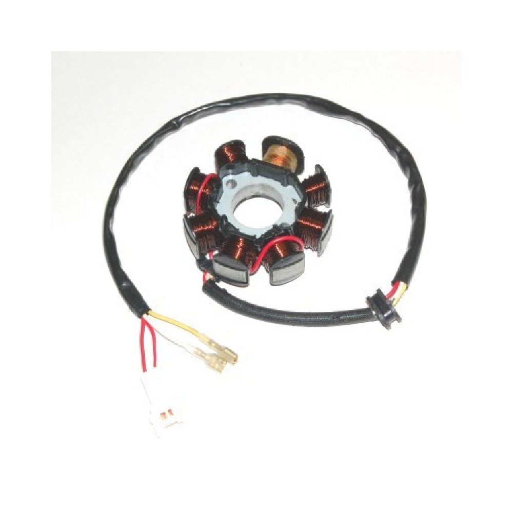 Statore Ktm 250EXC-R 02-05 per KTM 250EXC-R 02-05 e altri modelli Statori ELECTROSPORT
