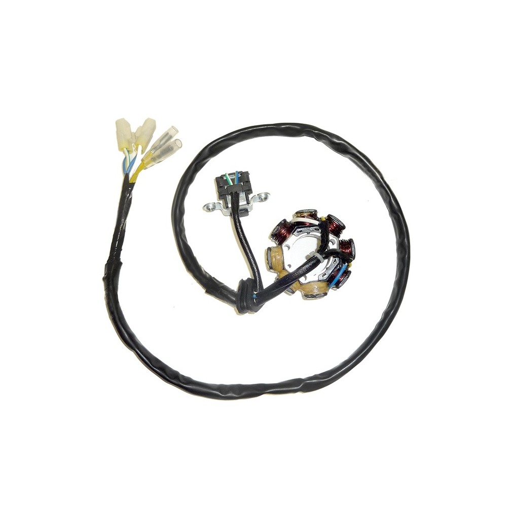 Stator Honda Crf 250R 04-09-Crf 450R 05-08 for HONDA CRF 250R 00-01 and other model Stators ELECTROSPORT