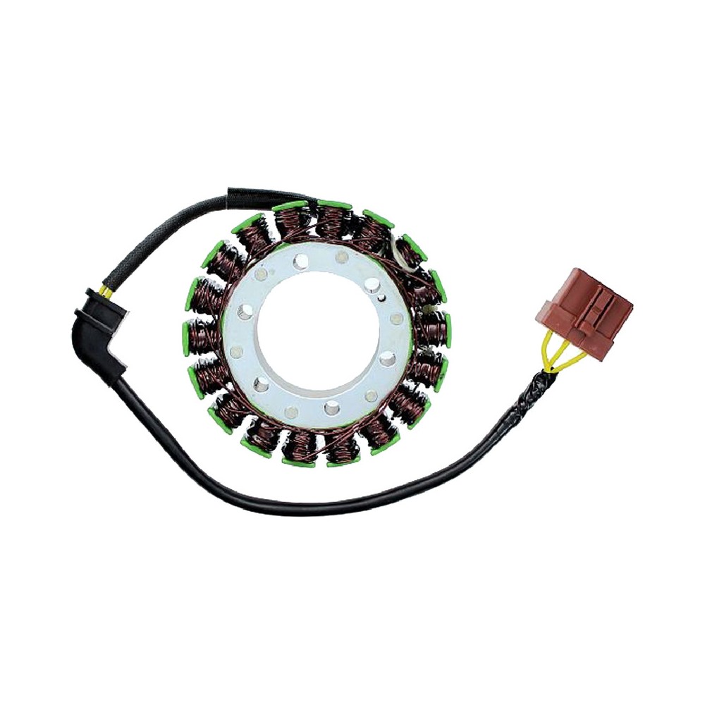 Stator Aprilia Capo Nord 100001-07- Rsv 1000 Futura 01-03 for APRILIA ETV Capo Nord 00 01-07 and other model Stators ELECTROSPORT