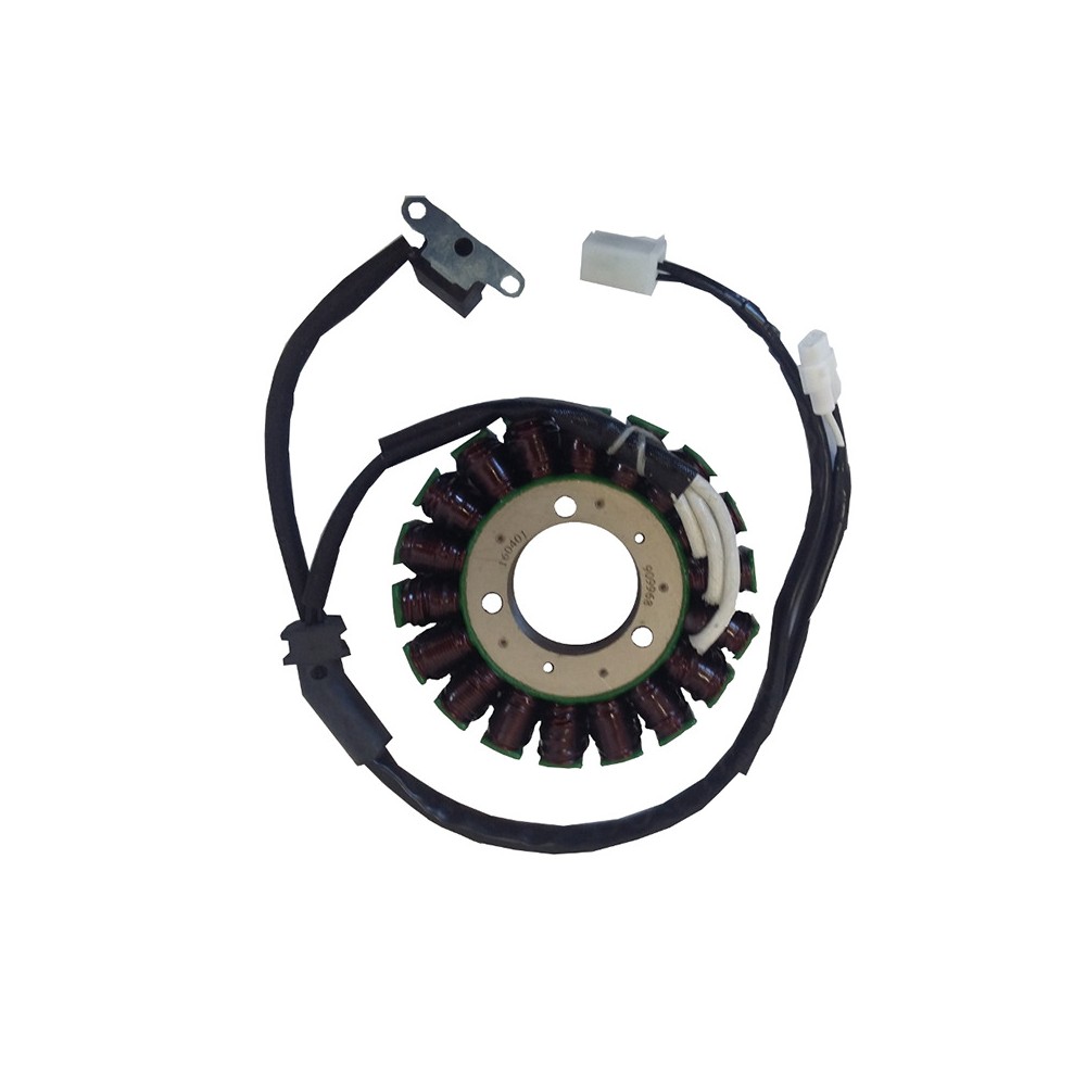 Stator Triumph Street TRIPLE675 07-14- Daytona 675 06-14 for TRIUMPH Daytona/Daytona SE 675 06-14 and other model Stators ELECTROSPORT