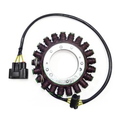 Statore Bmw R1200GS Lc/Gs Advlc/R/Rs per BMW R1200GS LC 13-17 e altri modelli Estatores ELECTROSPORT