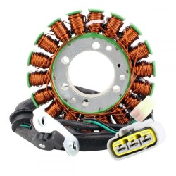Statore Triumph Street TRIPLE765R/Rs/S 17-19 per TRIUMPH Street Triple 765 R/RS/S 17-19 e altri modelli Statori RM STATOR