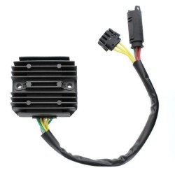 Regolatore Bmw F700- G650 per BMW F700GS 15-17 e altri modelli Reguladores ELECTROSPORT