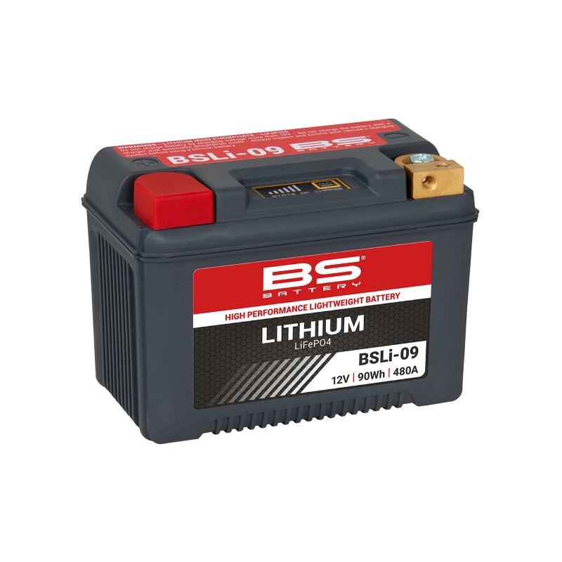Bs Battery Lithium Bsli-09 All Products BS-Battery