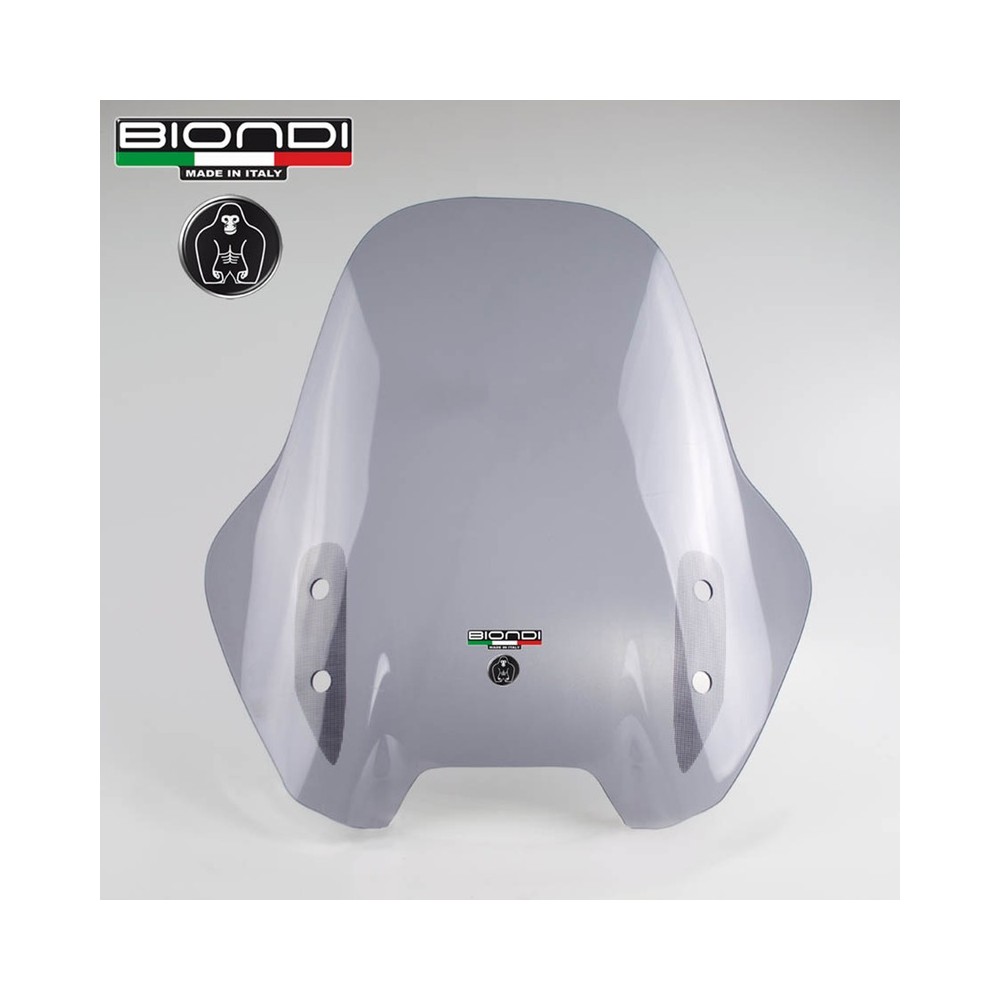 Cupolino Kawasaki Versys 65010 Fume per KAWASAKI Versys 650 10-12 Parabrezza e Cupolini BIONDI