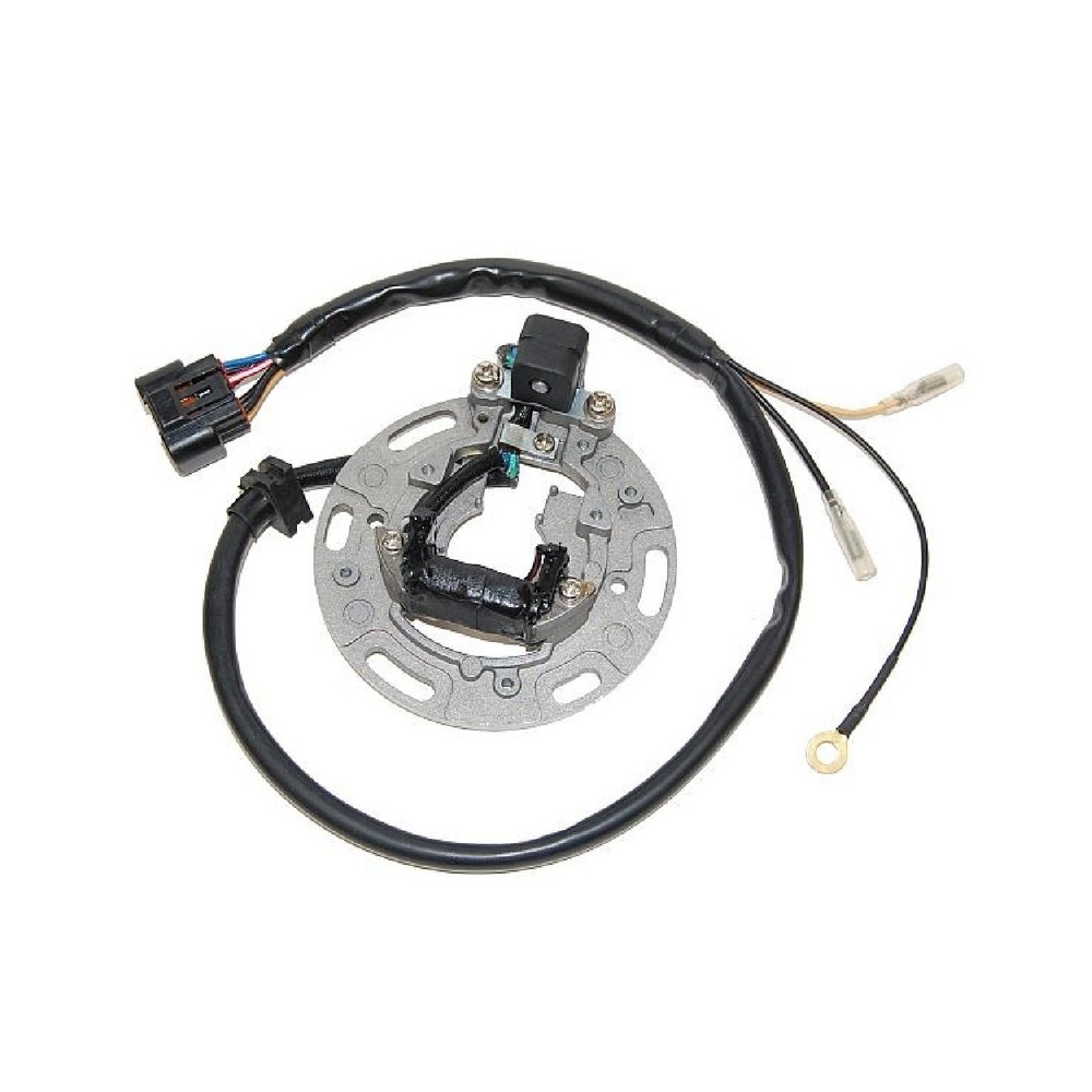 Stator Kawasaki KX85 01-05 for KAWASAKI KX85 01-05 Stators ELECTROSPORT