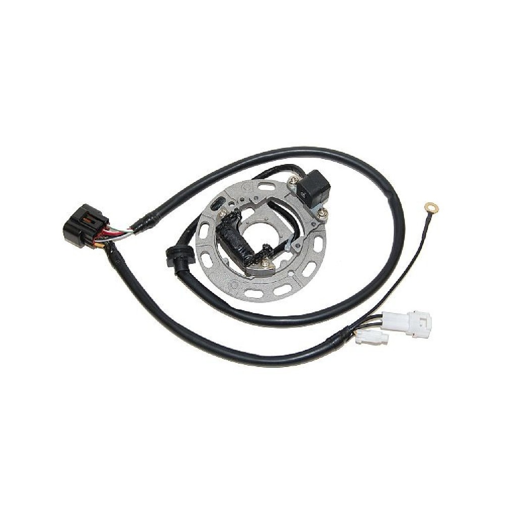 Statore Kawasaki KX65/85 per KAWASAKI KX85 06-13 e altri modelli Statori ELECTROSPORT