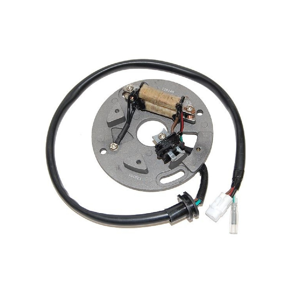 Statore Yamaha YZ250 91-95 per YAMAHA YZ 250 91-95 Statori ELECTROSPORT
