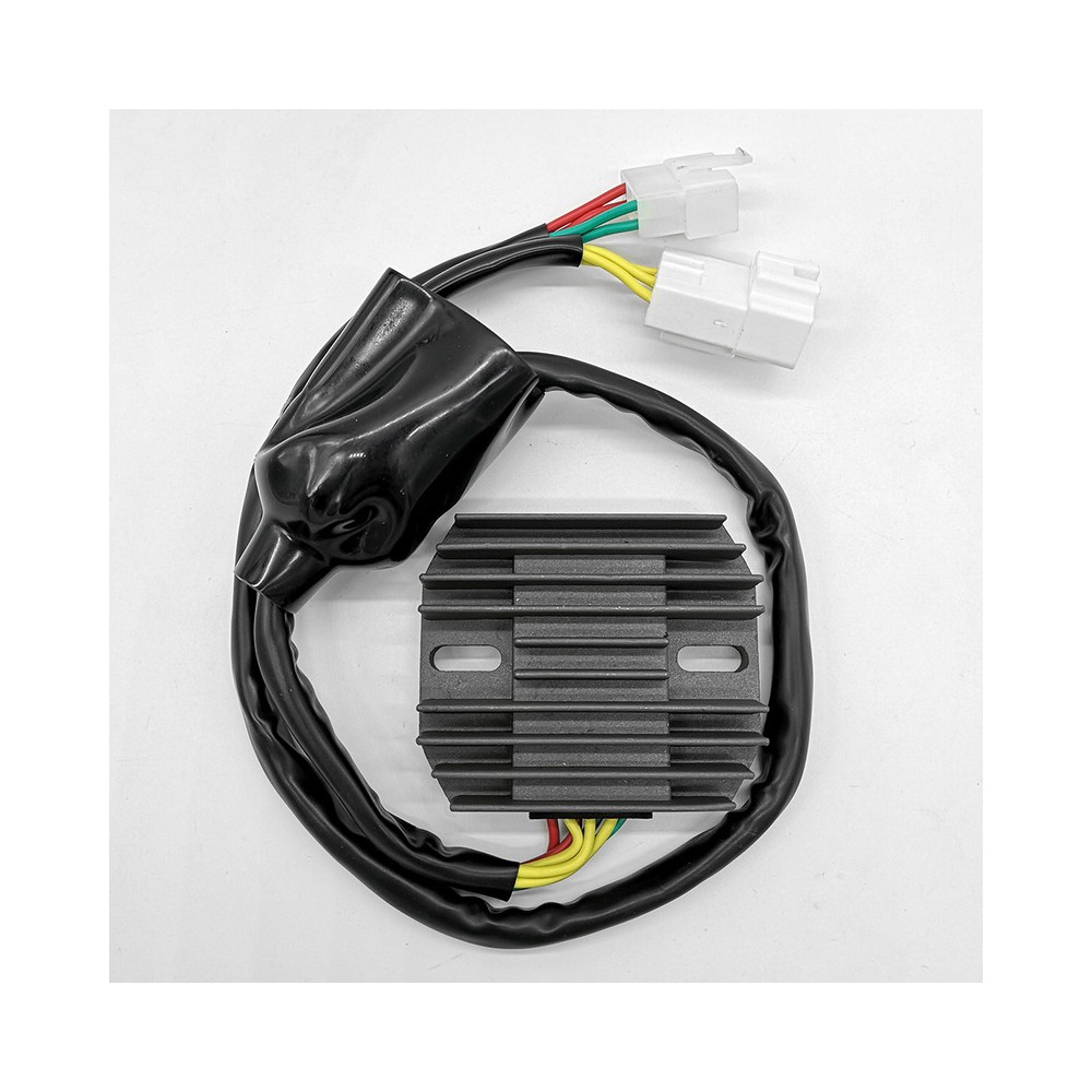 Regolatore Honda CBR600F 01-06 per HONDA CBR 600F 01-06 Regolatori ELECTROSPORT