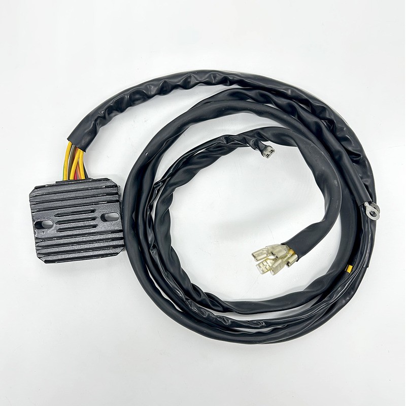 Regolatore Bmw R100 Gs 89-96-Moto Guzzi V35 Iii 85-92 per BMW R100 GS 89-96 e altri modelli Regolatori WAI