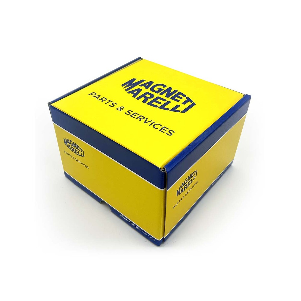 Cylinder Yamaha X-MAX125 06--Yzf-R125 12-18 for YAMAHA X-Max 125 06- and other model Parti Motore MAGNETI MARELLI