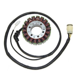 Stator Kawasaki Zx-12R NINJA02-03 for KAWASAKI ZX-12R Ninja 02-03 Statori ELECTROSPORT