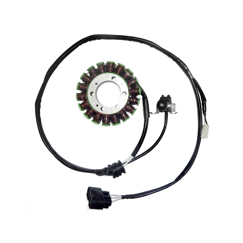 Statore Yamaha Mt-09 per YAMAHA MT-09 14-20 e altri modelli Statori ELECTROSPORT