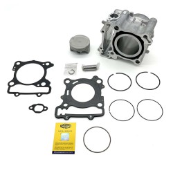 Cylinder Yamaha X-MAX300 17-23 for YAMAHA X-Max 300 17-23 and other model Parti Motore MAGNETI MARELLI