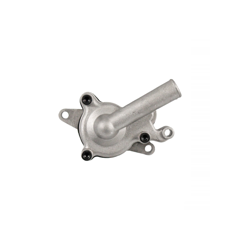 Pompa Acqua Completa Yamaha Majesty 250cc Kit Revisione RMS