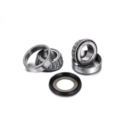Steering Stem Bearing Kit Sherco 50CC Bearings Factory Links