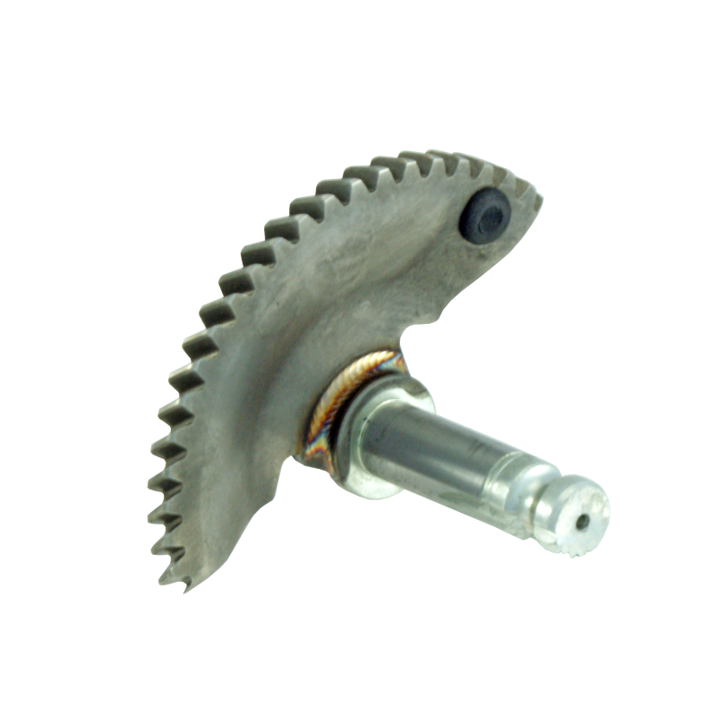 Settore Messa In Moto Gilera Runner Fx/Fxr/Typhoon 125cc/Piaggio Hexagon 125-150cc Engranajes de arranque RMS