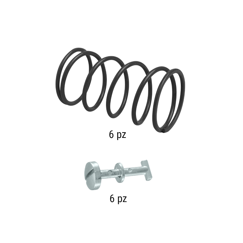 Kit Ritegni E Molle Classic Piaggio Si 50cc 121858590/121890120 Accessori Carrozzeria Rms Classic