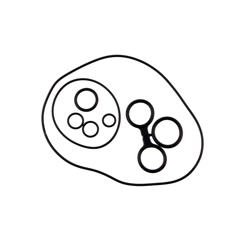 Kit O-Rings Classic Piaggio Vespa Px Paraoli Rms Classic