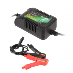 Battery Charger Skyrich Battery charger Skyrich