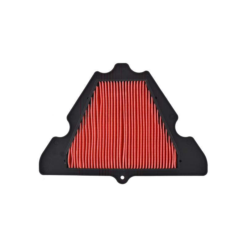 Filtro Aria Nypso Kawasaki Z1000 2010-2020 Filtri Aria Nypso