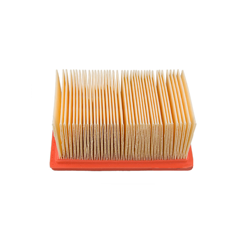 Filtro Aria Champion CAF6602 Filtri Aria Champion