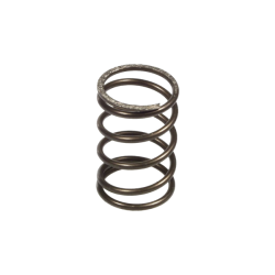 Ferodo Spring Kit FSS0519 Clutch Springs Ferodo