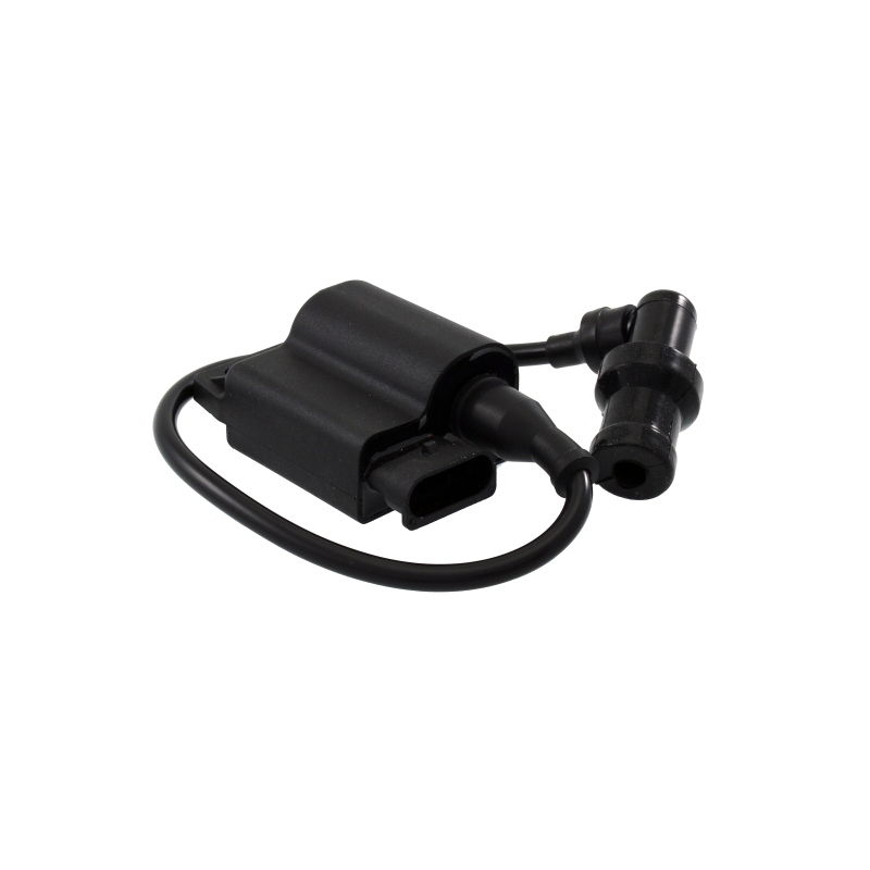  Electronic Unit Piaggio 50cc 4T Control Units (ECUs) RMS