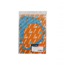 Guarnizione Statore Artein Aprilia Leonardo 125cc 1996/2004 Guarnizioni Artein