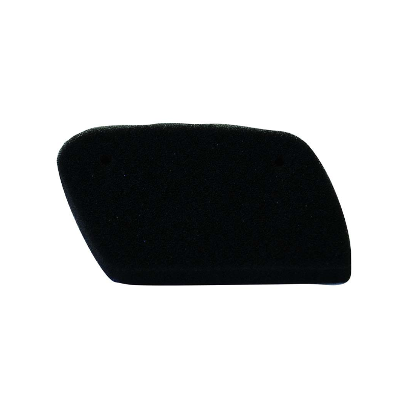 Champion Air Filter Y318 Air Filters Champion