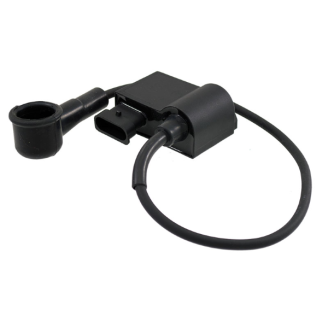  Classic Electronic Unit Piaggio Vespa Px 125-150cc 642443 Control Units (ECUs) Rms Classic