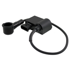  Classic Electronic Unit Piaggio Vespa Px 125-150cc 642443 Control Units (ECUs) Rms Classic