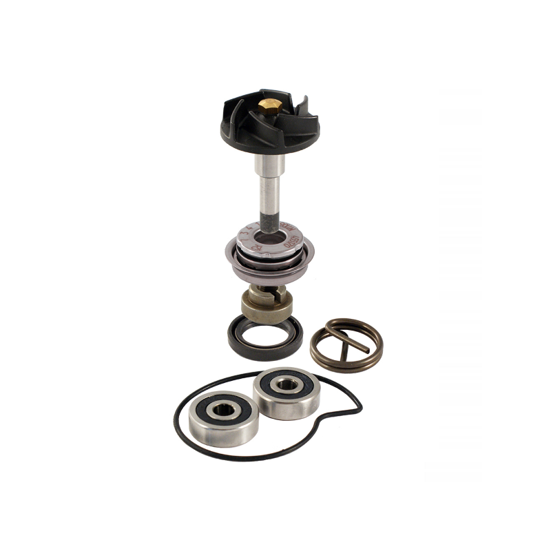 Kit Revisione Pompa Acqua Piaggio Beverly 250-300cc Kit Revisione RMS