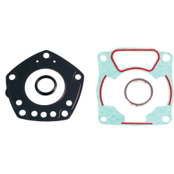 Serie Guarnizioni Smeriglio Honda Pantheon 125cc 1998/2002 Juntas RMS