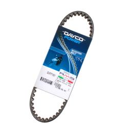 Cinghia Di Trasmissione Dayco Piaggo Vespa FL2 Cinghie di Trasmissione Dayco