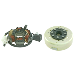  Complete Flywheel Peugeot 2t 50cc Flywheels RMS