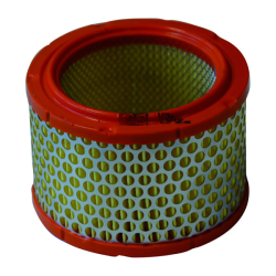 Filtro Aria Champion CAF5102 Filtri Aria Champion