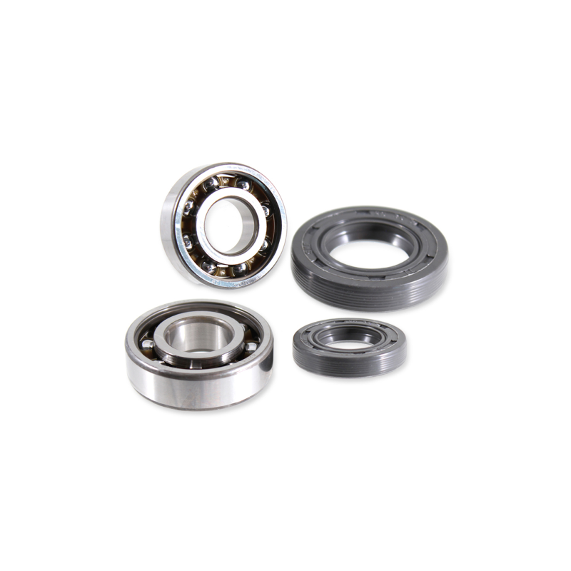 Kit Revisione Albero Motore Derbi 50cc Alberi Motore RMS