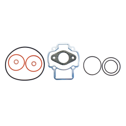 Serie Completa Guarnizioni Motore Piaggio Sfera/Zip/Free 50cc Guarnizioni RMS