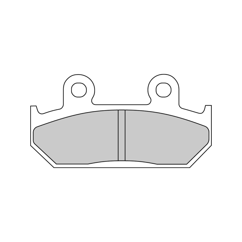 Pastiglie Freno Ferodo Platinum Road FDB2113P Pastillas de freno Ferodo