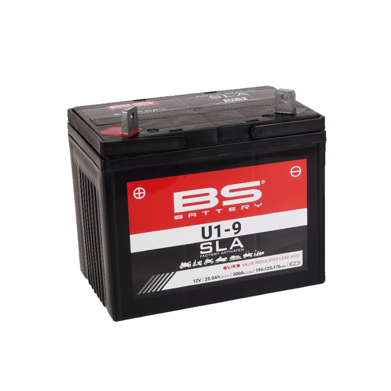 Batteria Bs Sla U1-9 Batterie al Piombo BS-Battery