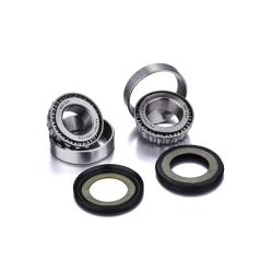 Steering Stem Bearing Kit Gas Gas (Old) - Rieju Bearings Factory Links