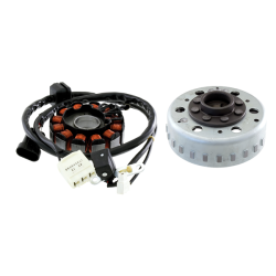 Volano Completo Piaggio Liberty 125cc Ptt 2012 Volani RMS