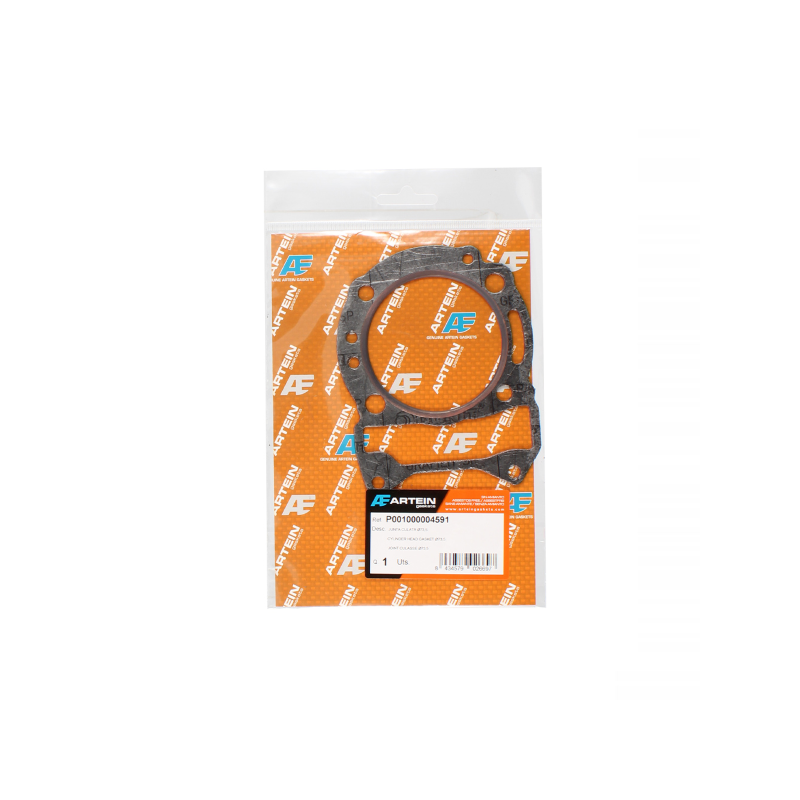 Artein Gasket Cylinder Beverly 125cc 2001/2005 Gaskets Artein